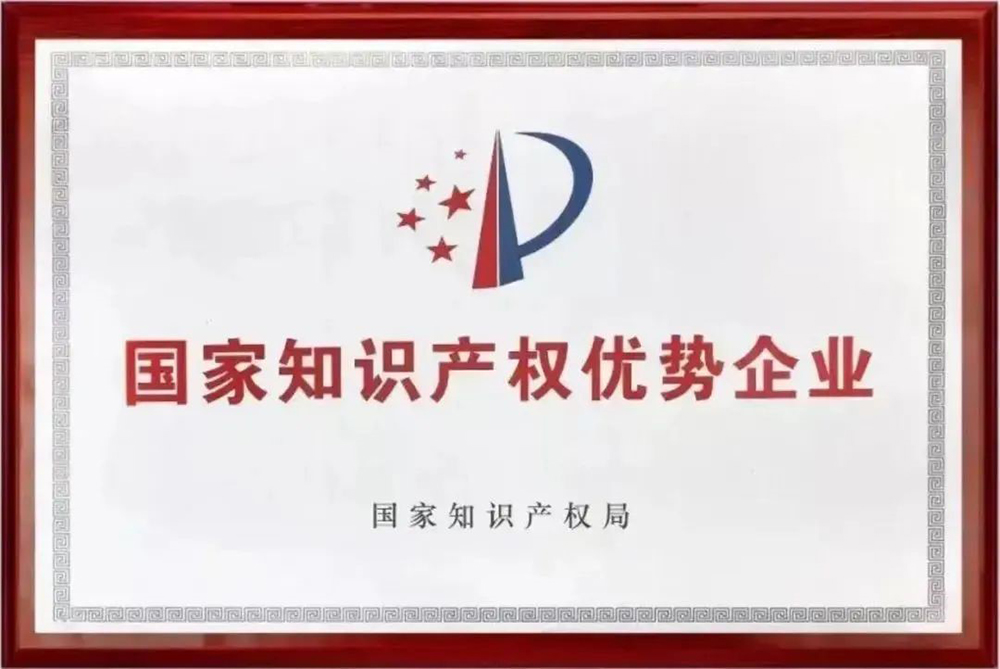 熱烈祝賀我司獲評“國(guó)家級知識産權優勢企業”認定(圖3)